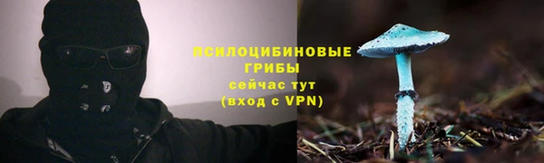 скорость Алексеевка